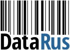 Главный логотип Data Rus