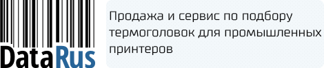 Logotip Data Rus