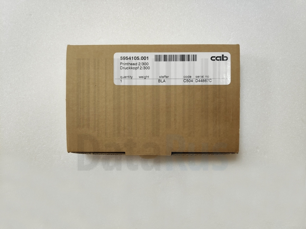 Термоголовка Cab A2+ , 300 DPI, 5954105.001 коробка