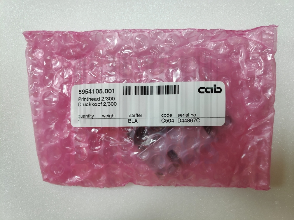 Термоголовка Cab A2+ , 300 DPI, 5954105.001 упаковка
